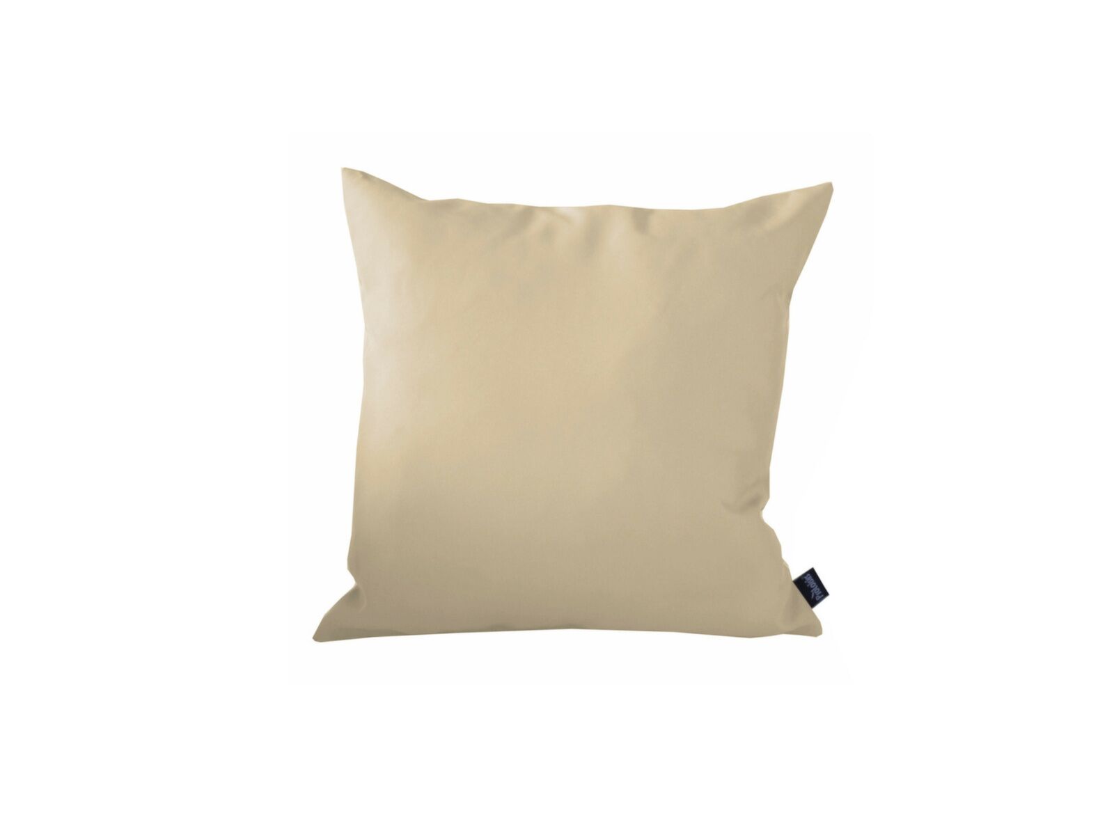 Coussin d'agrément pour salon