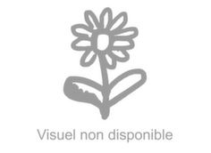 Claustra vertical côté 3 m pour pergola autoportée